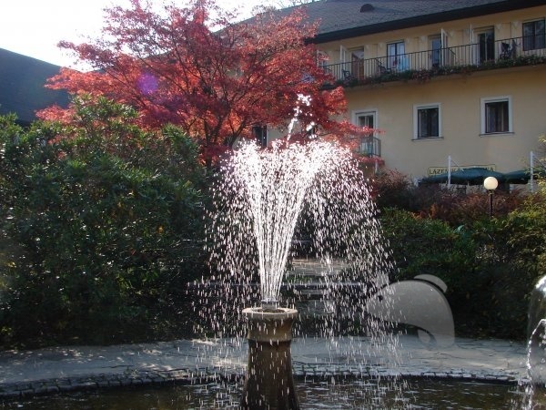 Foto .6